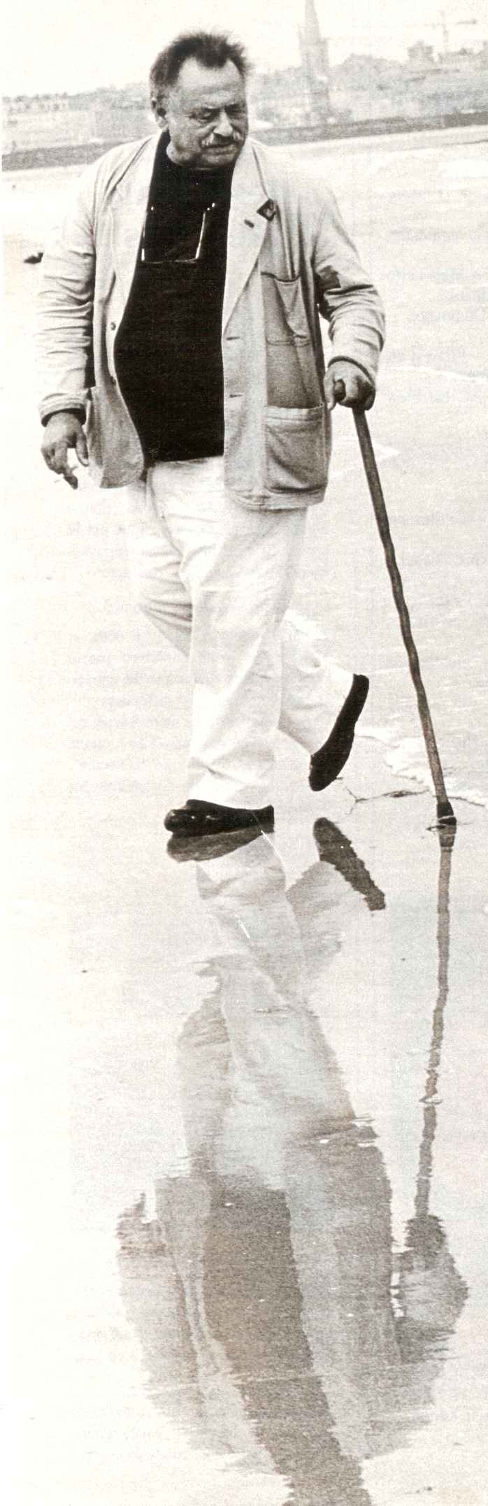 Harrison sur la plage.jpg (99119 octets)